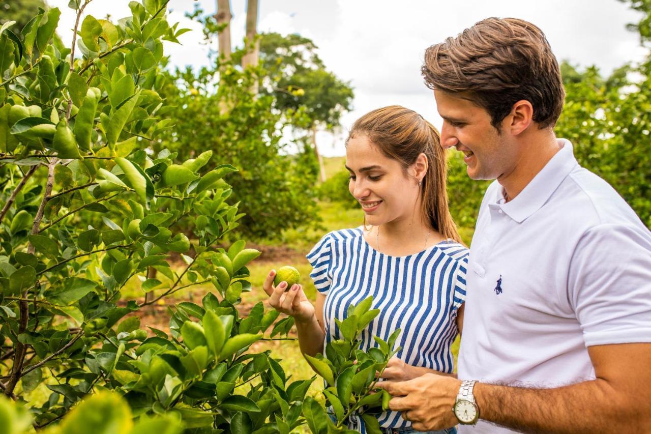 Hacienda Plantation&museum 5* Uxmal